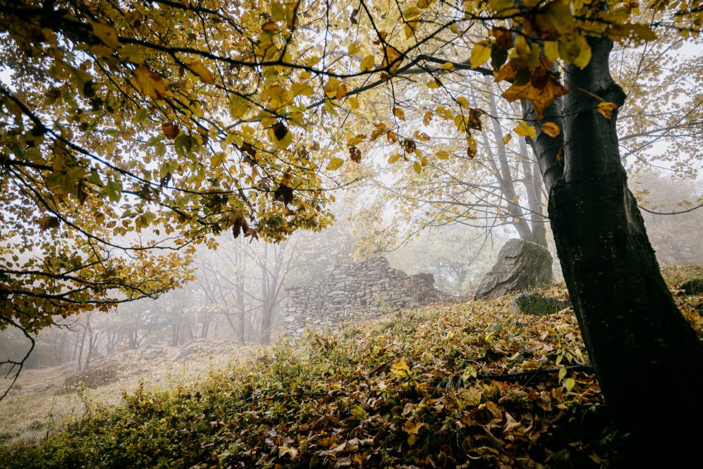 Regen und Nebel - die perfekte Inszenierung einer seit dem Zweiten Weltkrieg verlassenen Alm (Leica SL2-S mit Super Elmar 21mm F3.4)