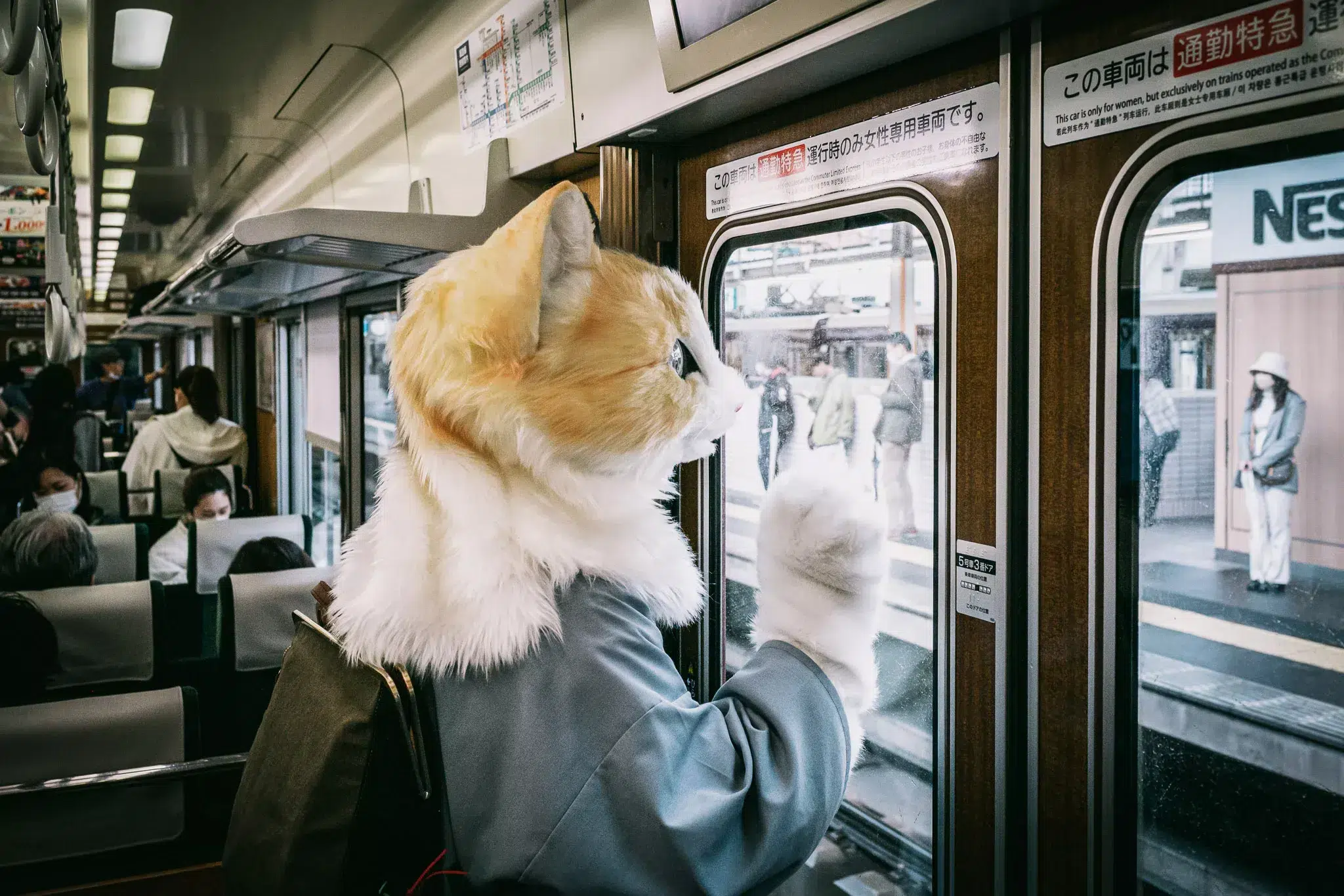 Wenn Ihr meinen Japan Reisebericht gelesen habt, dann kennt Ihr schon "die Katze" (im Zug von Kyoto nach Osaka). Spoiler: Es gibt noch mehrere Varianten davon, die aber noch etwas reifen wollen ;)