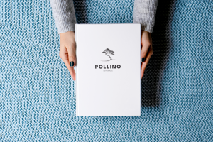 Pollino (Mockup)