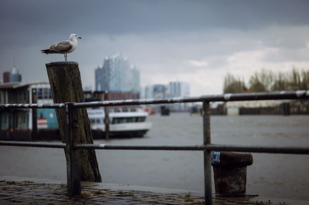 An der Elbe: Leica M EV1 mit Minolta 135mm F2.8